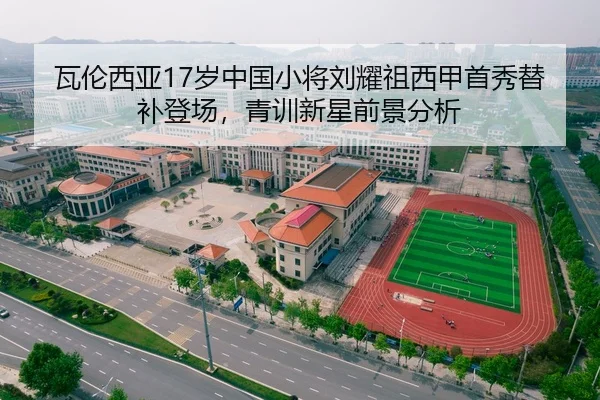 瓦伦西亚17岁中国小将刘耀祖西甲首秀替补登场，青训新星前景分析