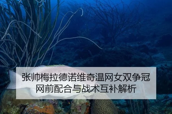 张帅梅拉德诺维奇温网女双争冠 网前配合与战术互补解析